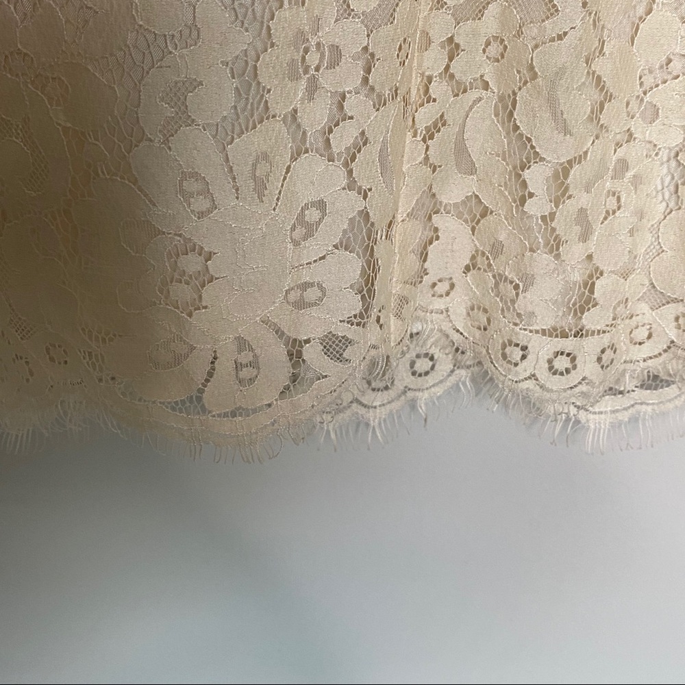 Anthro Cream Anna Sui Lonoke Antique Lace Dress - Picture 5 of 8
